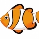 Aquarium Saltwater Fish